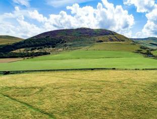 Northumbria's Golden Age