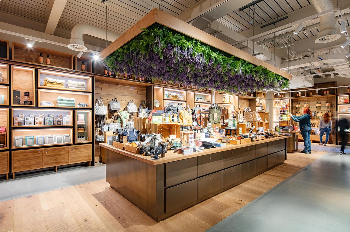 A retail space displaying shelves stocked with items and a counter highlighted by vibrant plants.